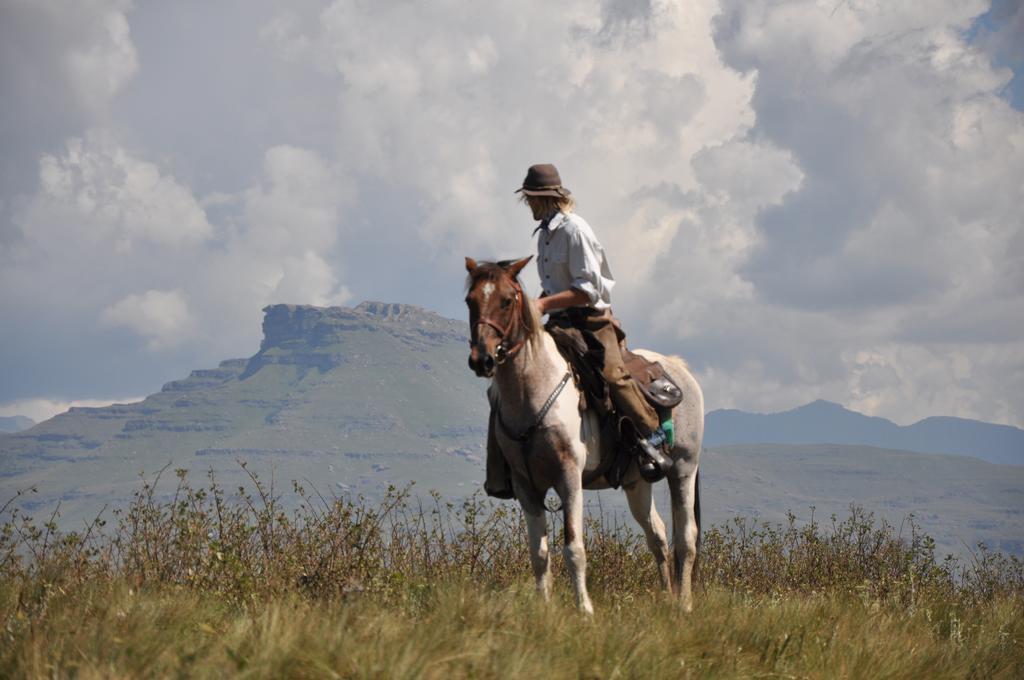 Khotso Lodge & Horse Trails Underberg Ngoại thất bức ảnh